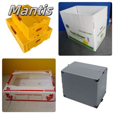 Mantis PP Plastic Boxes: veelzijdige, duurzame en milieuvriendelijke verpakki...
