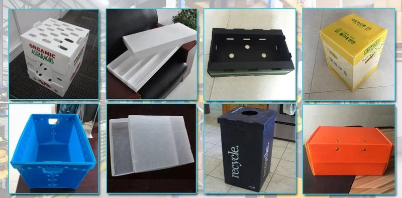 Mantis PP Corrugated Plasric Box 6 Mantis PP Corrugated Plasric Box 6